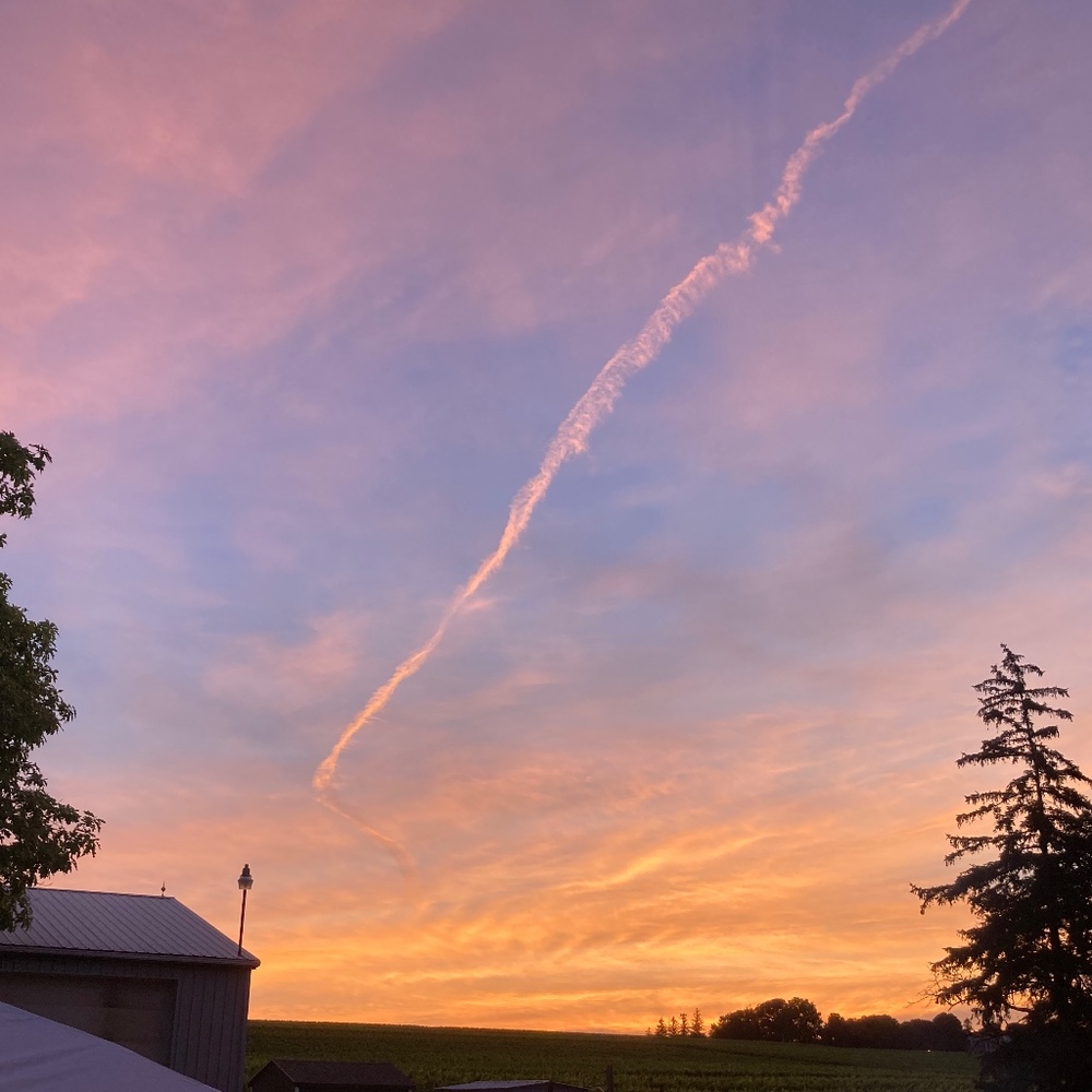 Meet your Posher, Courtney